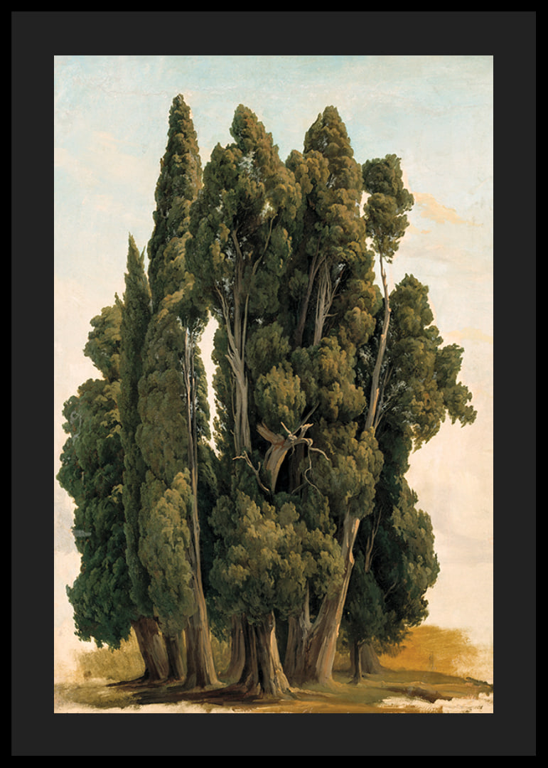 Villa d'Este By Gustaf Wilhelm Palm-12