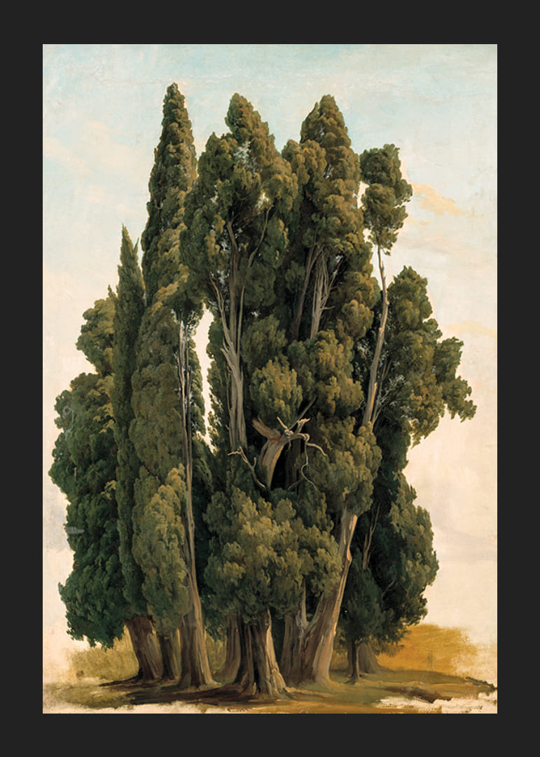 Villa d'Este By Gustaf Wilhelm Palm-12