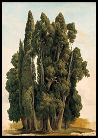 Villa d'Este By Gustaf Wilhelm Palm-8