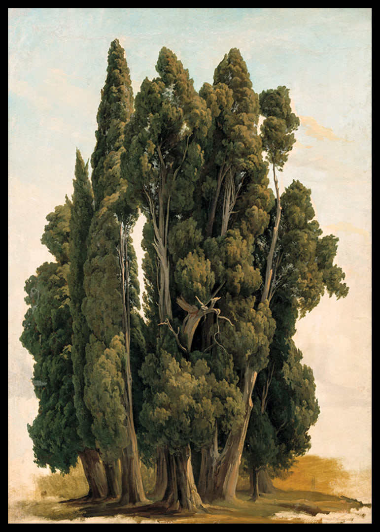 Villa d'Este By Gustaf Wilhelm Palm-12