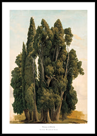 Villa d'Este By Gustaf Wilhelm Palm-0