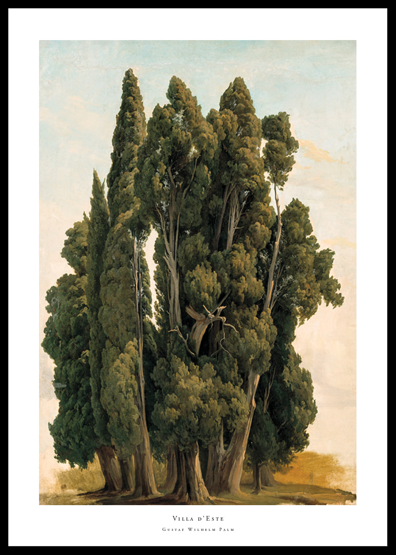 Villa d'Este By Gustaf Wilhelm Palm-12