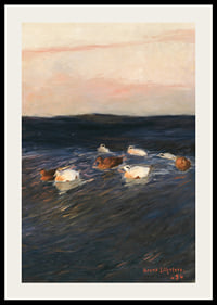 Eider Ducks By Bruno Liljefors-4