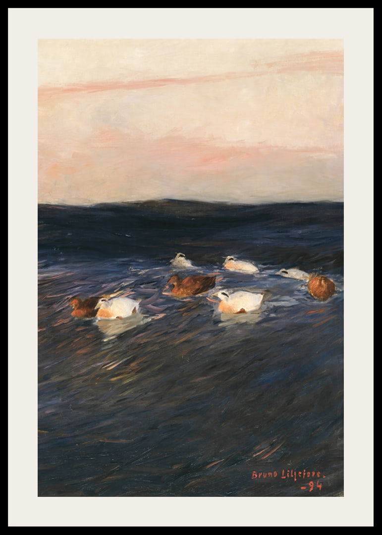 Eider Ducks By Bruno Liljefors-12