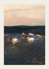 Eider Ducks By Bruno Liljefors-5