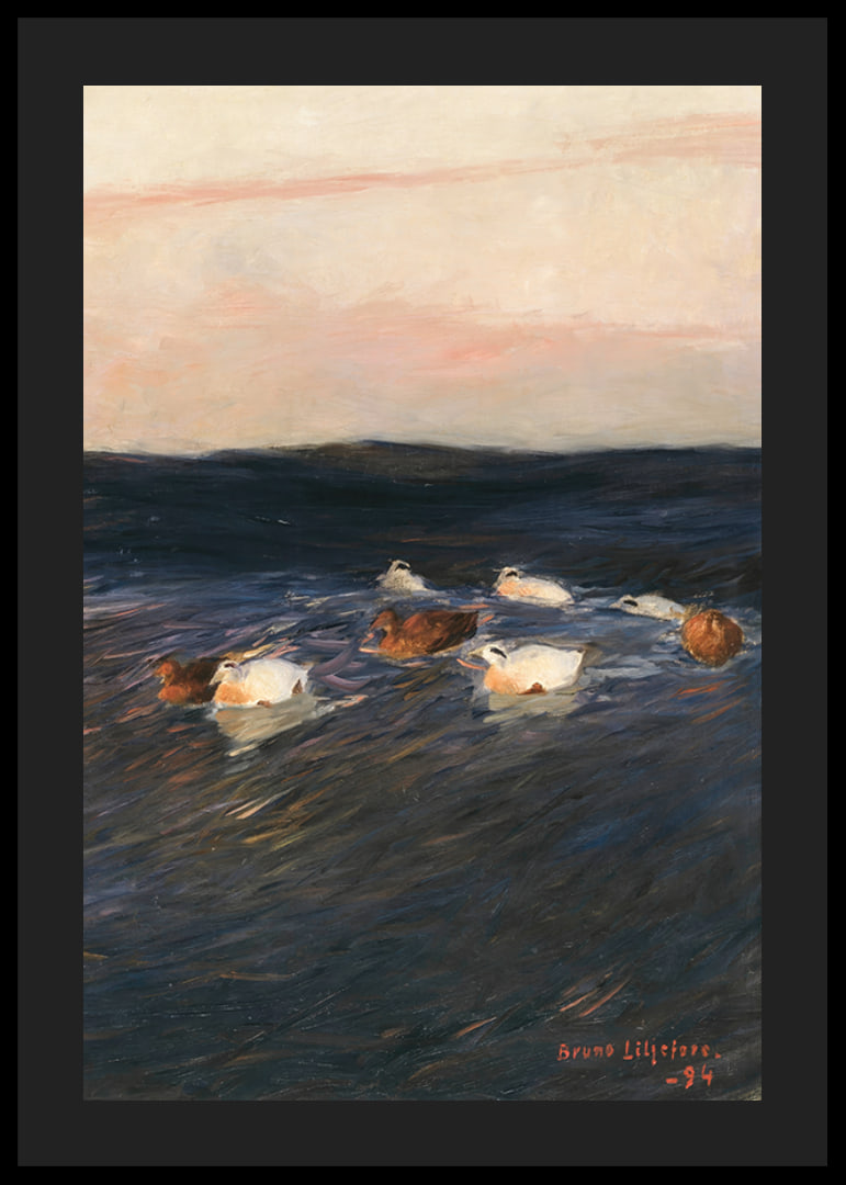 Eider Ducks By Bruno Liljefors-12