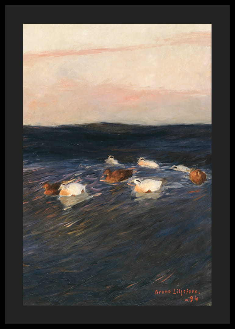 Eider Ducks By Bruno Liljefors-12