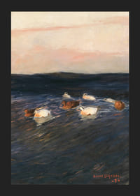 Eider Ducks By Bruno Liljefors-7