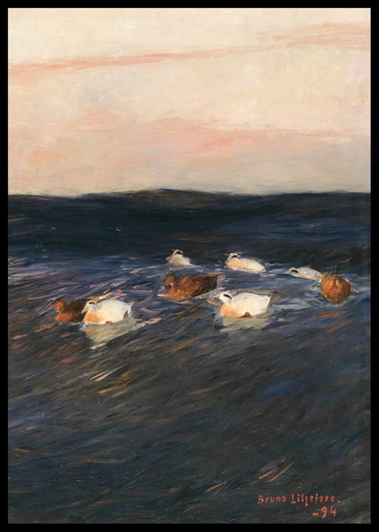 Eider Ducks By Bruno Liljefors-12