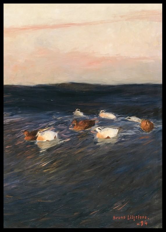 Eider Ducks By Bruno Liljefors-12