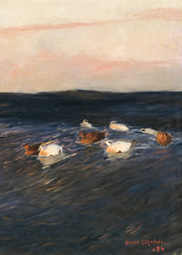 Eider Ducks By Bruno Liljefors-9