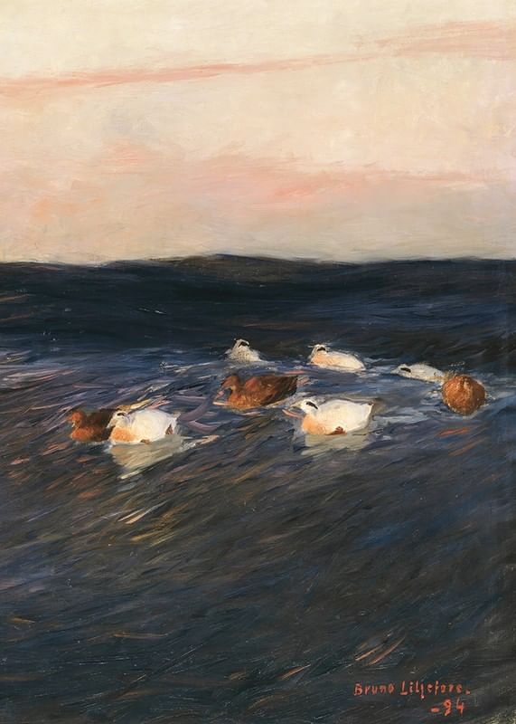 Eider Ducks By Bruno Liljefors-12