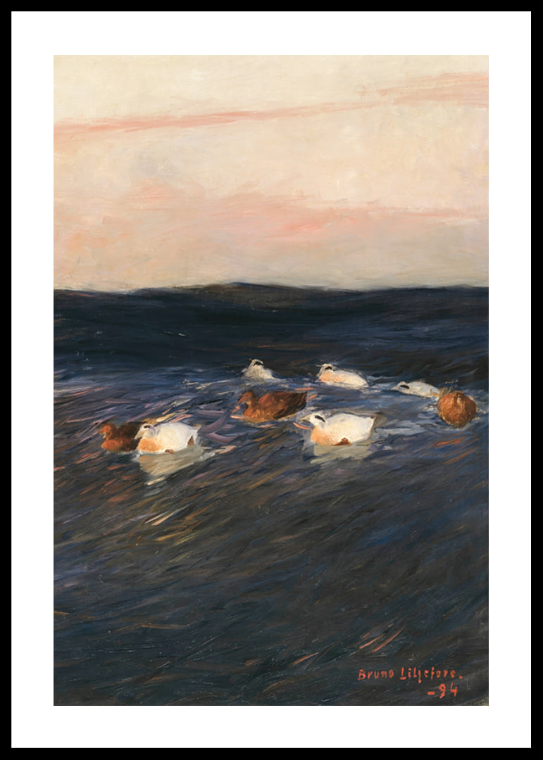 Eider Ducks By Bruno Liljefors-12