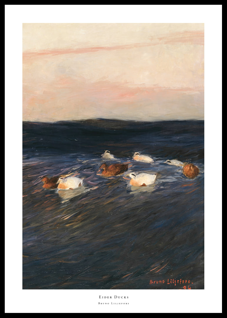 Eider Ducks By Bruno Liljefors-12