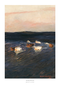 Eider Ducks By Bruno Liljefors-1