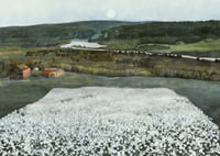 Flower Meadow in the North By Harald Sohlberg-9