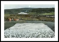 Flower Meadow in the North By Harald Sohlberg-0