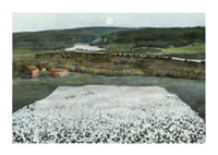 Flower Meadow in the North By Harald Sohlberg-3