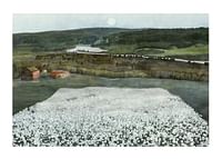 Flower Meadow in the North By Harald Sohlberg-1