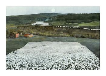 Plakat Flower Meadow in the North By Harald Sohlberg