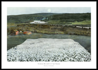 Flower Meadow in the North By Harald Sohlberg-0