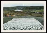 Flower Meadow in the North By Harald Sohlberg-4