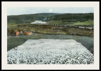 Flower Meadow in the North By Harald Sohlberg-4