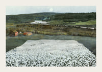 Flower Meadow in the North By Harald Sohlberg-5