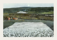 Flower Meadow in the North By Harald Sohlberg-5