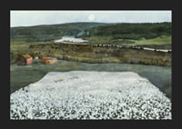 Flower Meadow in the North By Harald Sohlberg-7