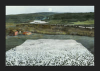 Flower Meadow in the North By Harald Sohlberg-7