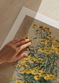 Fall Flowers By Gunnar Gunnarsson Wennerberg-5
