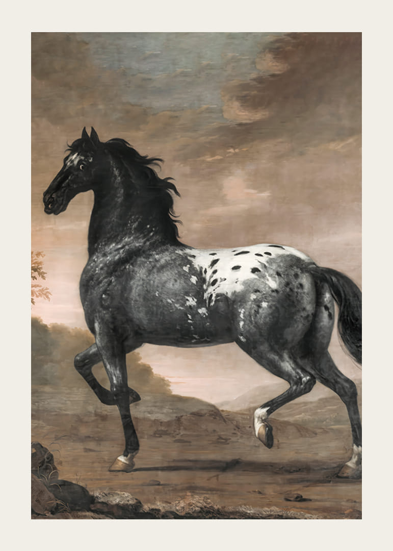 The Blue Tiger By David Klocker Ehrenstrah-12