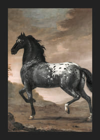 The Blue Tiger By David Klocker Ehrenstrah-7