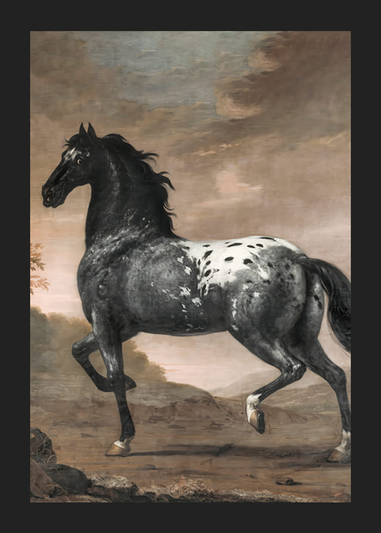 The Blue Tiger By David Klocker Ehrenstrah-12