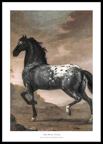 Poster The Blue Tiger By David Klocker Ehrenstrah