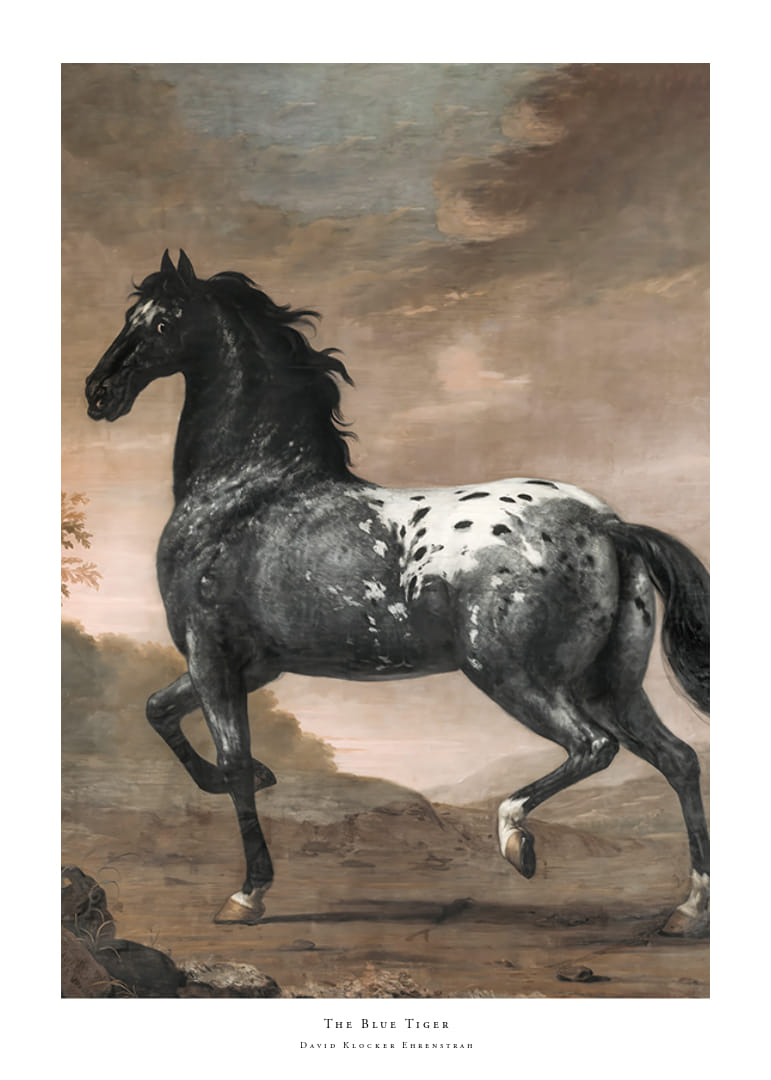 The Blue Tiger By David Klocker Ehrenstrah-12