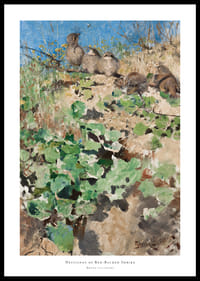 Törnskateungar By Bruno Liljefors-0