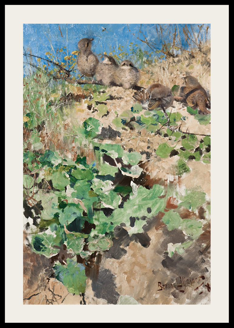 Nestlings of Red-Backed Shrike By Bruno Liljefors-12