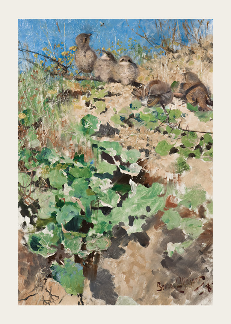 Nestlings of Red-Backed Shrike By Bruno Liljefors-12