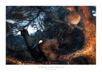 The Mating of the Capercaillies By Bruno Liljefors-1