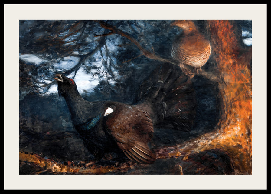 The Mating of the Capercaillies By Bruno Liljefors-12