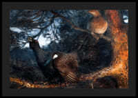 The Mating of the Capercaillies By Bruno Liljefors-6