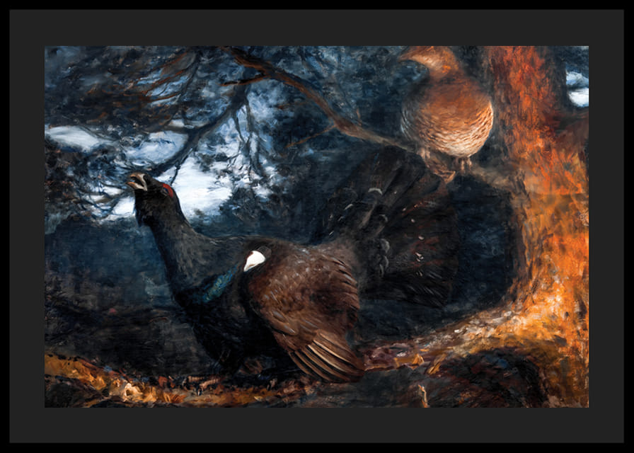 The Mating of the Capercaillies By Bruno Liljefors-12