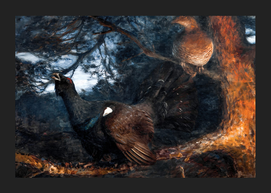 The Mating of the Capercaillies By Bruno Liljefors-12