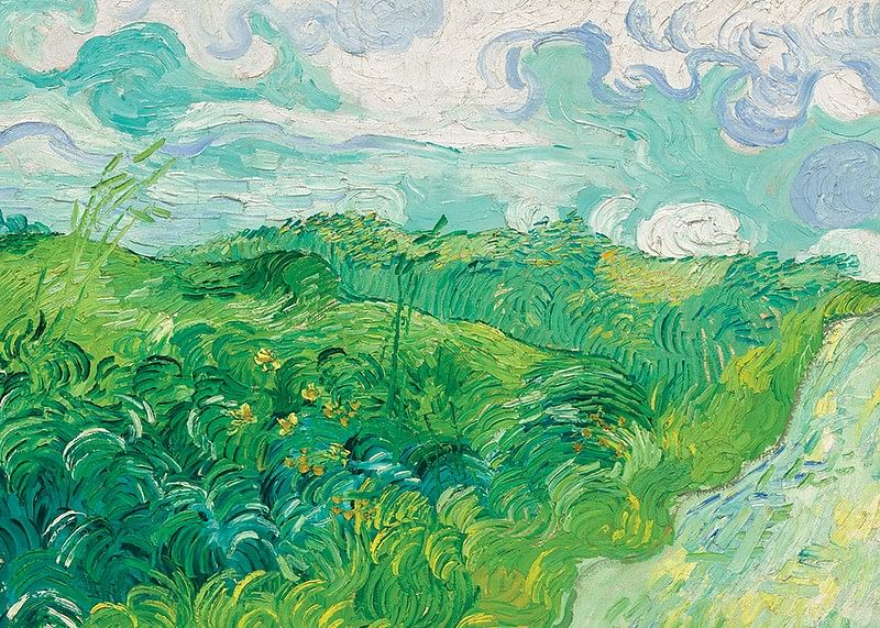 Green Wheat Fields Auvers By Vincent van Gogh-12