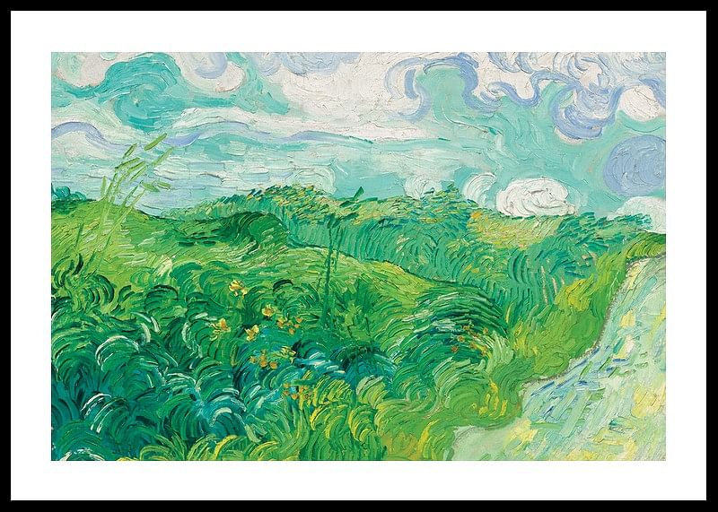 Green Wheat Fields Auvers By Vincent van Gogh-12