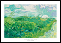 Green Wheat Fields Auvers By Vincent van Gogh-0