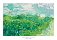 Green Wheat Fields Auvers By Vincent van Gogh-1