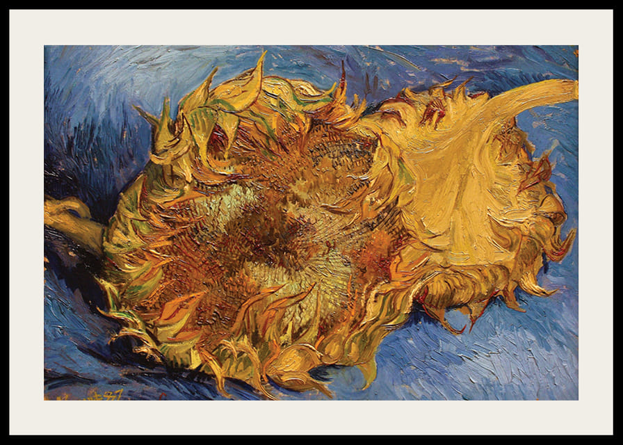 Sunflowers By Vincent van Gogh-12